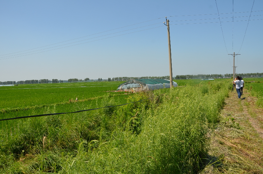 吉林榆树乡村振兴,吉林榆树农业全景