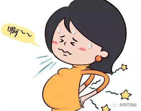 ​孕期周刊  第三十二周