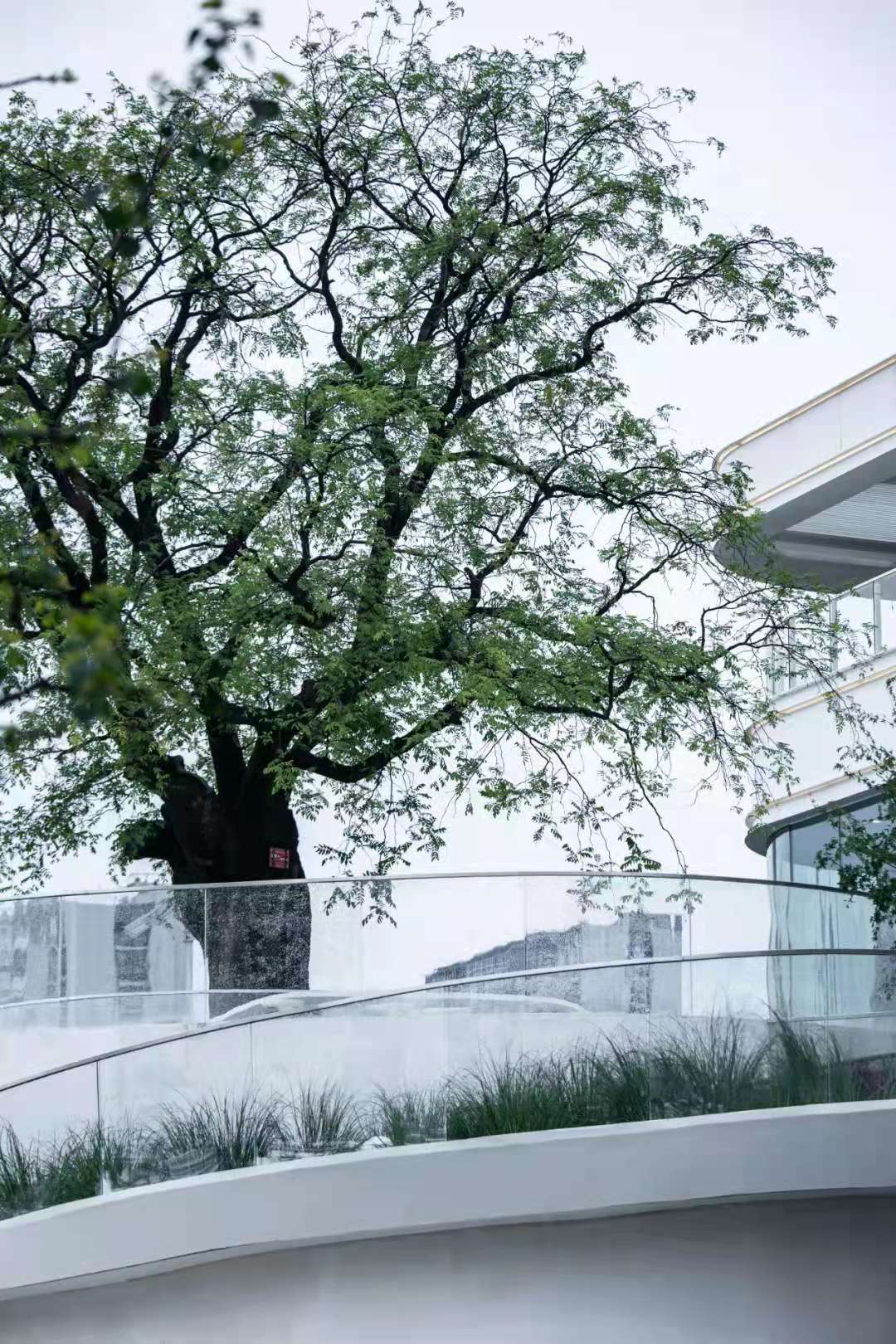 这或许是光谷的yyds