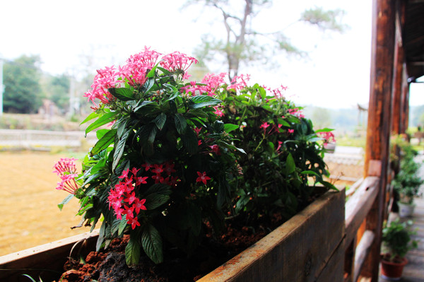 鄱湖之滨美景图,鄱阳湖之滨