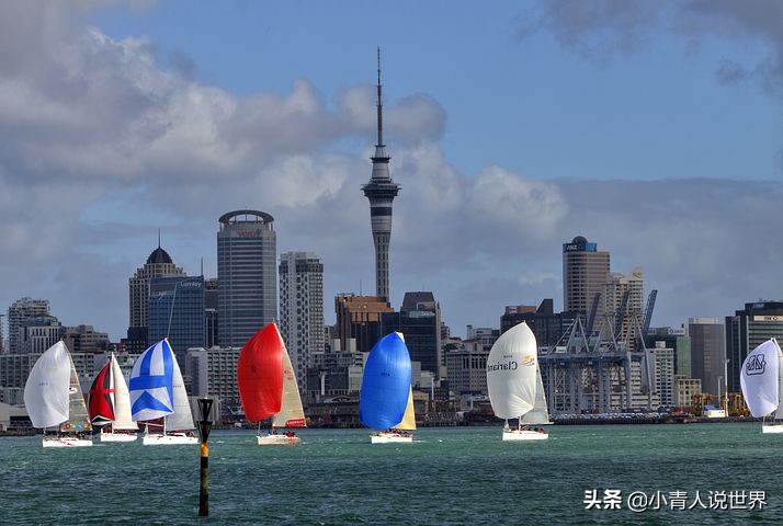 新西兰创业移民真实历程,新西兰的前景如何