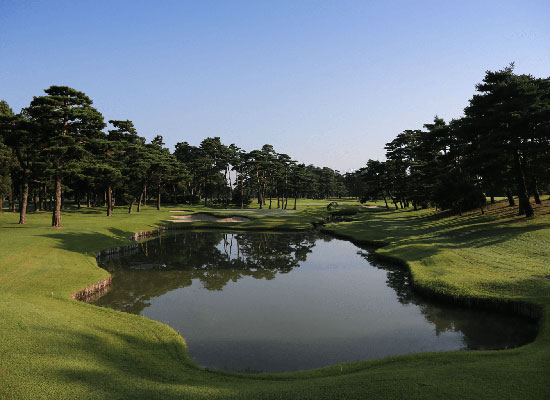 高尔夫比赛规则和球场规则,高尔夫球比赛规则全解