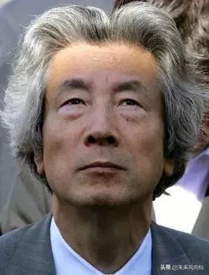 日本政坛五大家族,日本五大政治家族和德川家族