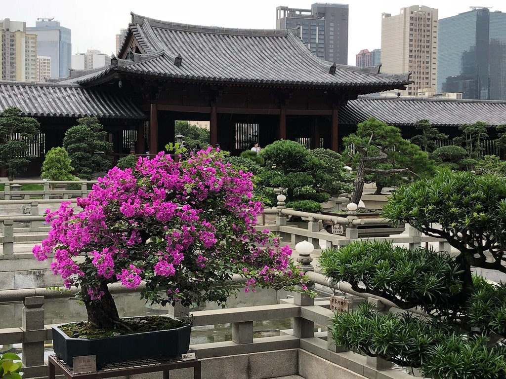 香港志莲净苑地图,香港志莲净苑好玩吗