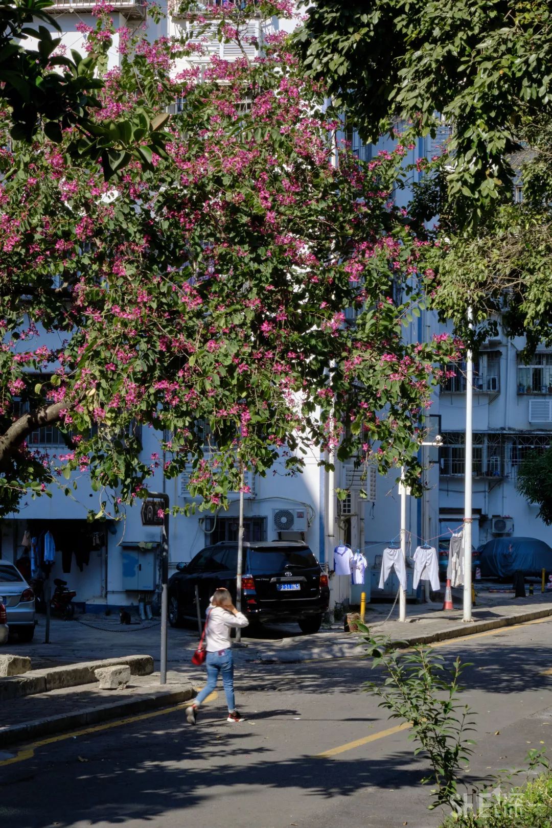 深圳新秀村南区,罗湖区新秀村