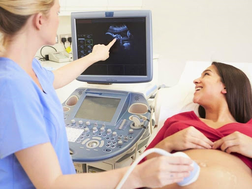 为什么动物的排泄能力要比人的强,为什么动物排便在同一个地方