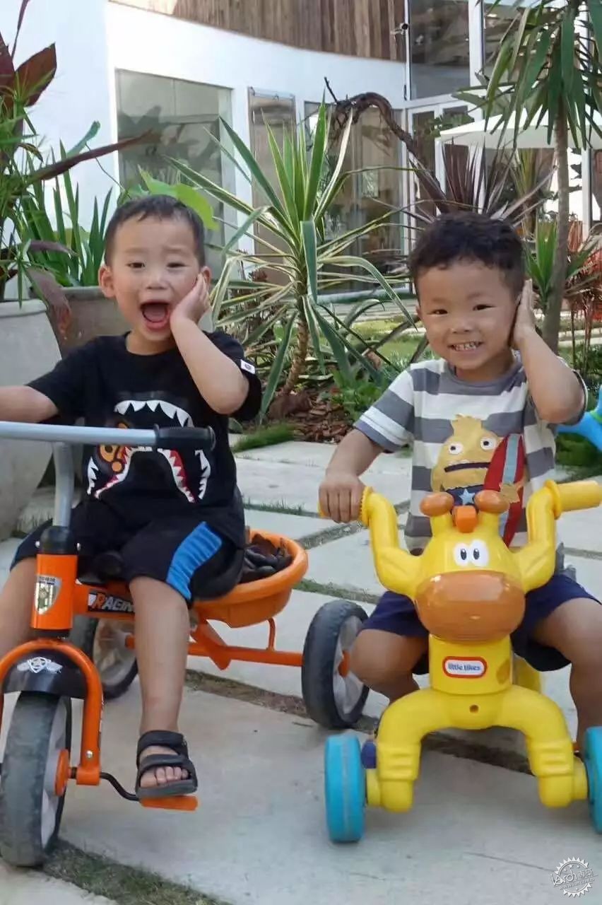 sasa，西西，设计师老王和三圣乡的“亲家DearHome”