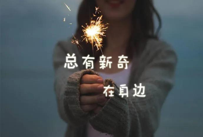 什么人会下载陌陌和探探,什么人玩陌陌