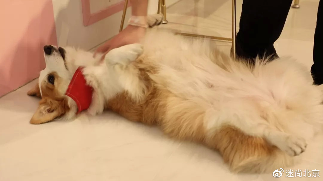 北京让人惊艳的小店,北京小资情调小店