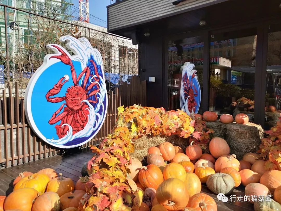 俄罗斯海参崴高端团自由行,俄罗斯海参崴吃喝攻略