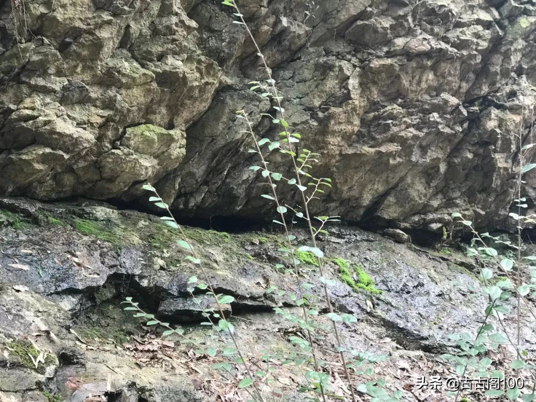 萧绍古道在哪里,萧绍古道古纤道