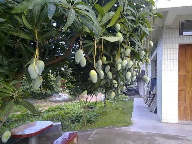 广东海关公务员报考条件,进入海关单位需要考公务员吗