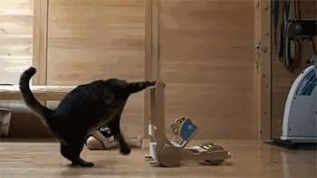 宝宝腿什么样是正常的,婴儿腿弯是o型腿吗