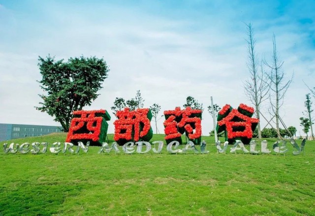 眉山高新区：追“高”逐“新”势如虹决胜千亿奔新高