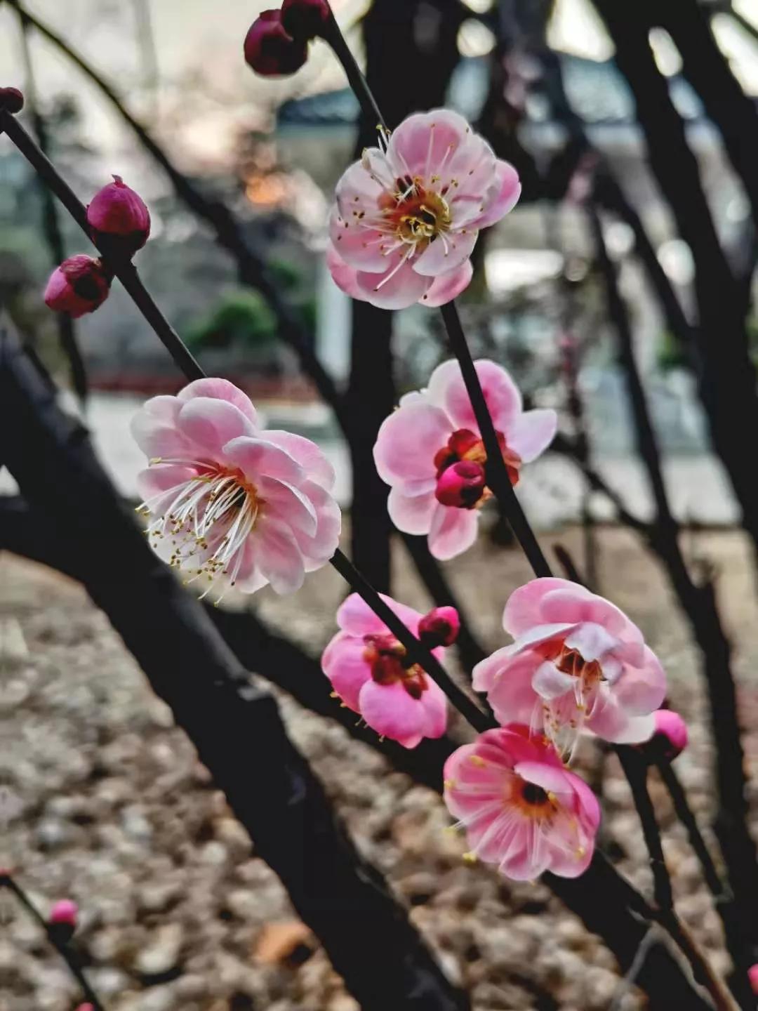 我的故事与回忆,我的故事与经历