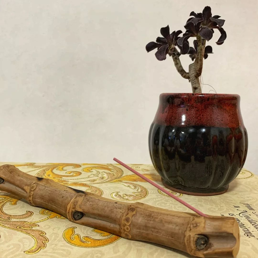 宅家还不逛淘宝？低价格、高格调好物，链接直给，买就完了