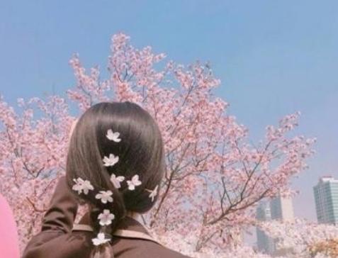 男人喜欢白玫瑰还是红玫瑰,男人心中的红玫瑰与白玫瑰