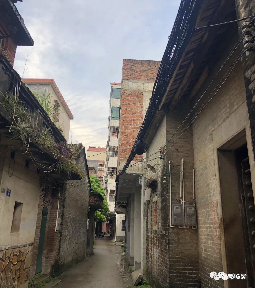 花都东镜村旧改2023计划,花都旧改重点