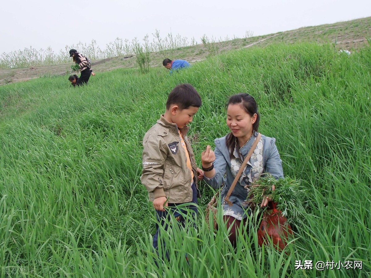 新农村创业适合做的几个生意项目,乡镇致富门路500条免费阅读