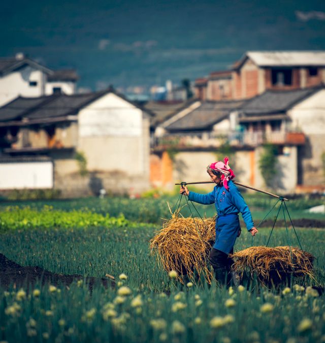 等一个人陪我去大理旅行,如果生活不如意不如一起去大理