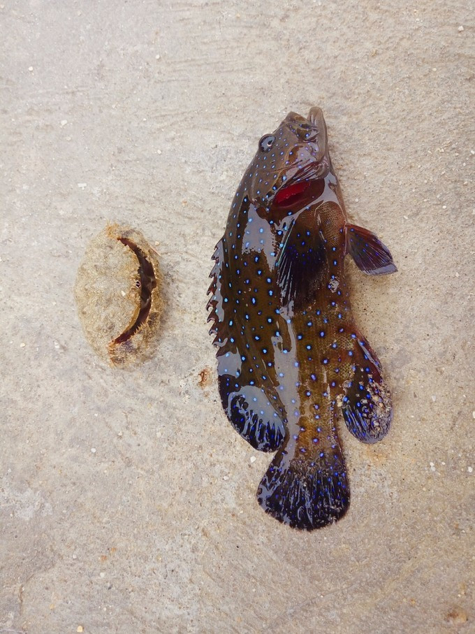 三亚旅游最详细自由行攻略,三亚旅行详细攻略自由行