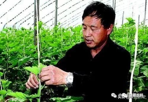 农村不起眼暴利小生意,藏在农村不起眼的暴利商机有哪些