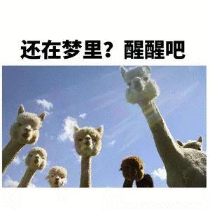 哪种奶粉好吸收而不上火,不上火不便秘奶粉排名