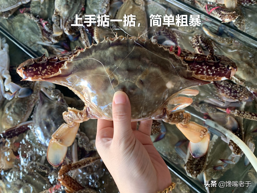 如何挑梭子蟹肥不肥,买到这种梭子蟹千万别吃不新鲜