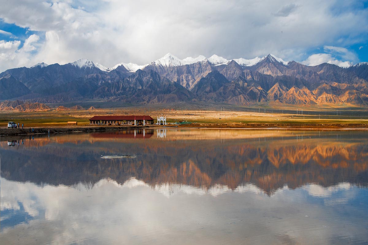 我的旅行日记之青海,我的旅行日记高原茶场
