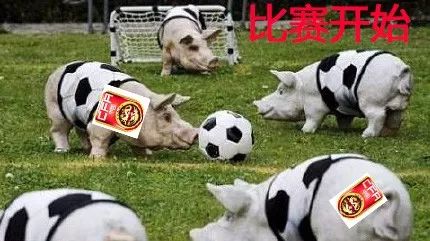 大小阿扎尔,大小阿扎尔比利时