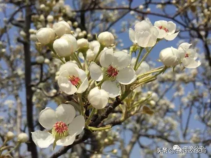 一起领略警营文化,警营文化五月随笔