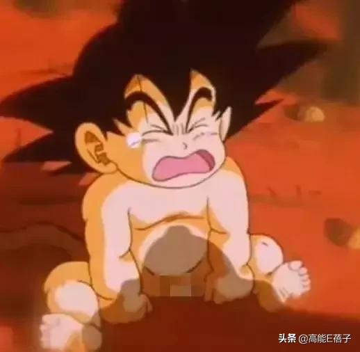 七龙珠里面的成龙是龟仙人吗,成龙谈七龙珠