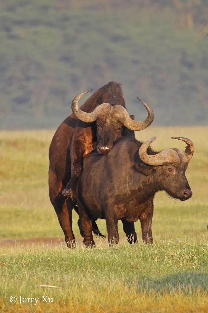 情人节，就该和爱的人*爱做**做的事