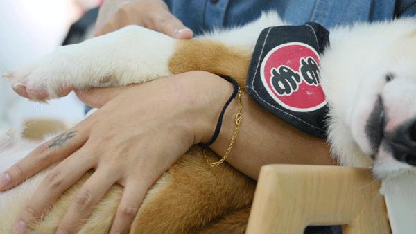 专门摸屁股的店，任摸