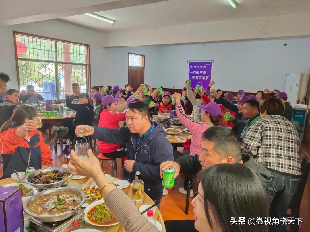 带你看看信阳的茶山美景,信阳浉河茶山直播