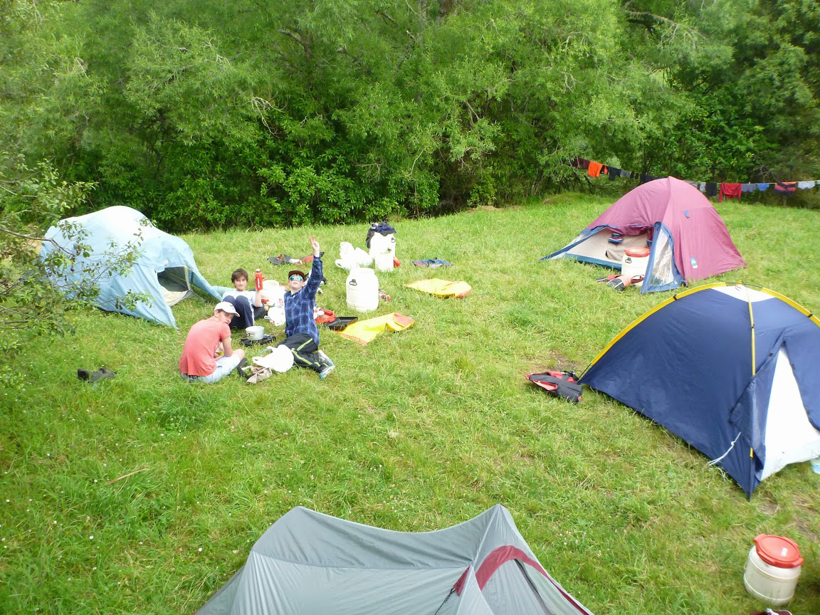 新西兰留学移民真的越来越难了吗,新西兰留学中介排名