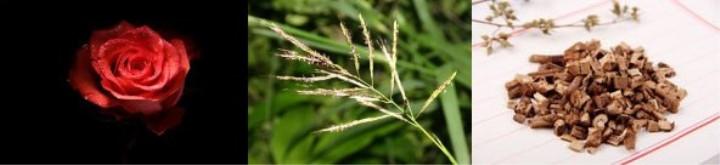 六款小众香水让你闻起来特别贵,五款好闻炸裂的香水