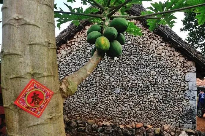 距海南20km有片处女地，比台湾风情比三亚便宜，路过都错过了