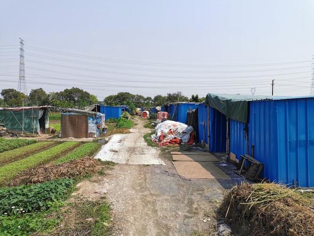 农村玉米秸秆窝棚,石棉瓦窝棚