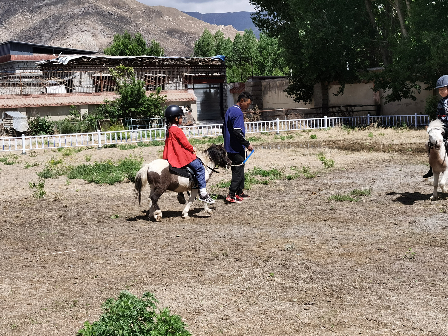 民族民间体育项目展示,北方特色传统体育项目