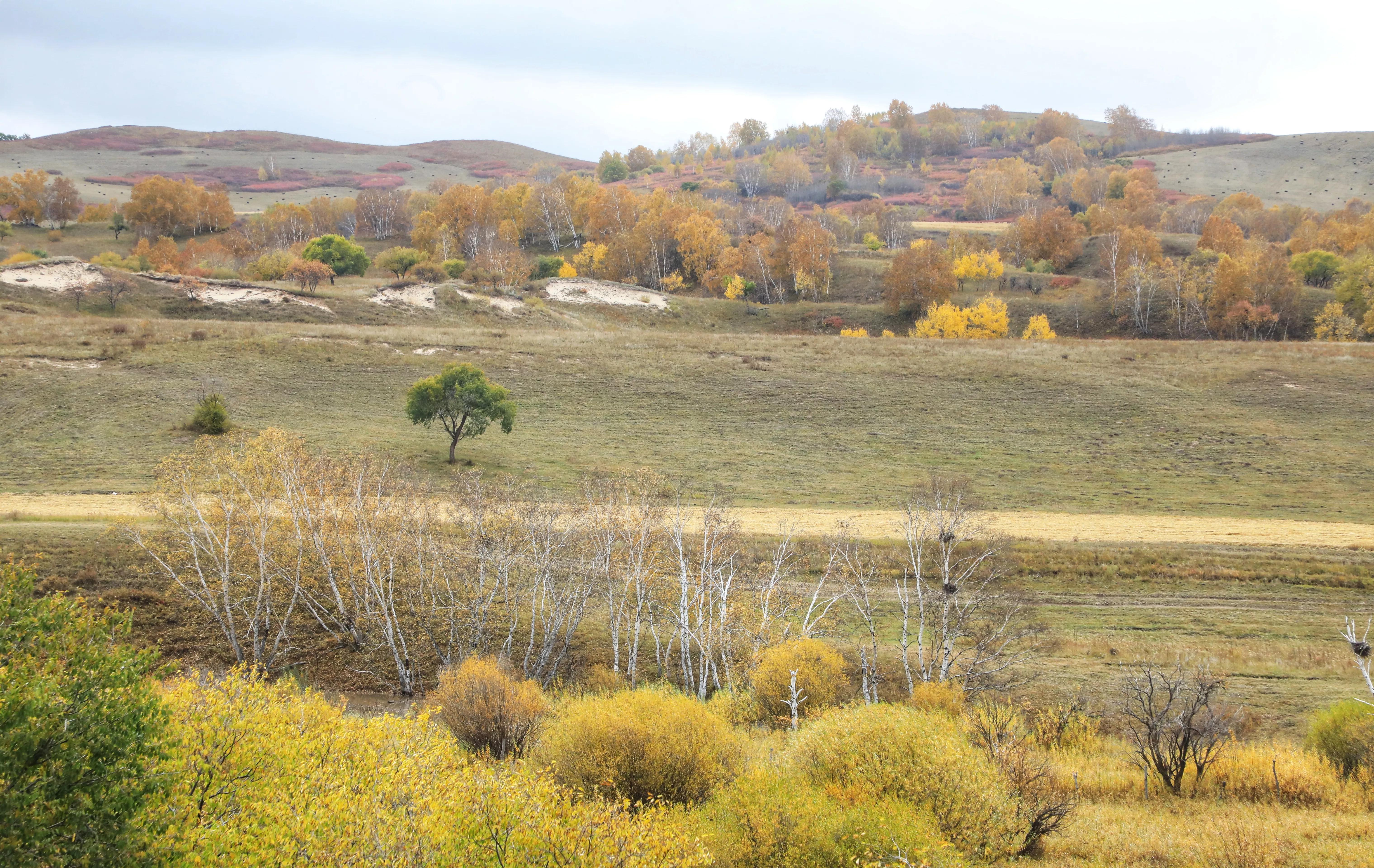 坝上秋色草原,坝上草原游记作文