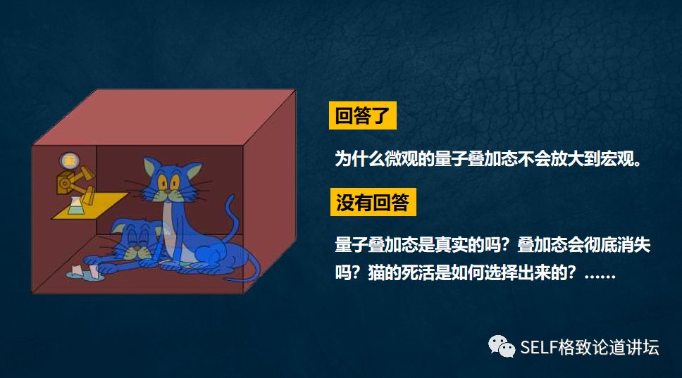 量子物理谜团薛定谔的猫已被破解 (量子计算机是否验证了薛定谔的猫)