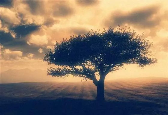 诸葛学堂语文精选,诸葛学堂超级反转作文