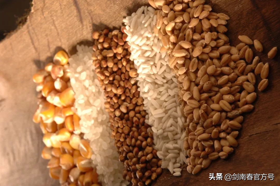 探秘剑南春的风味密码，为什么它这么好喝？