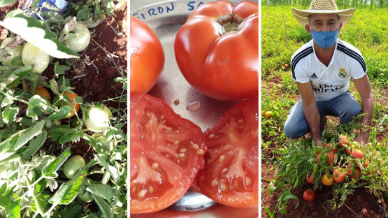 迷人古巴图片,迷人国度