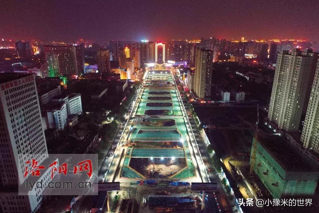 河南洛阳发布最新通知,洛阳牡丹花会向全世界发出邀请