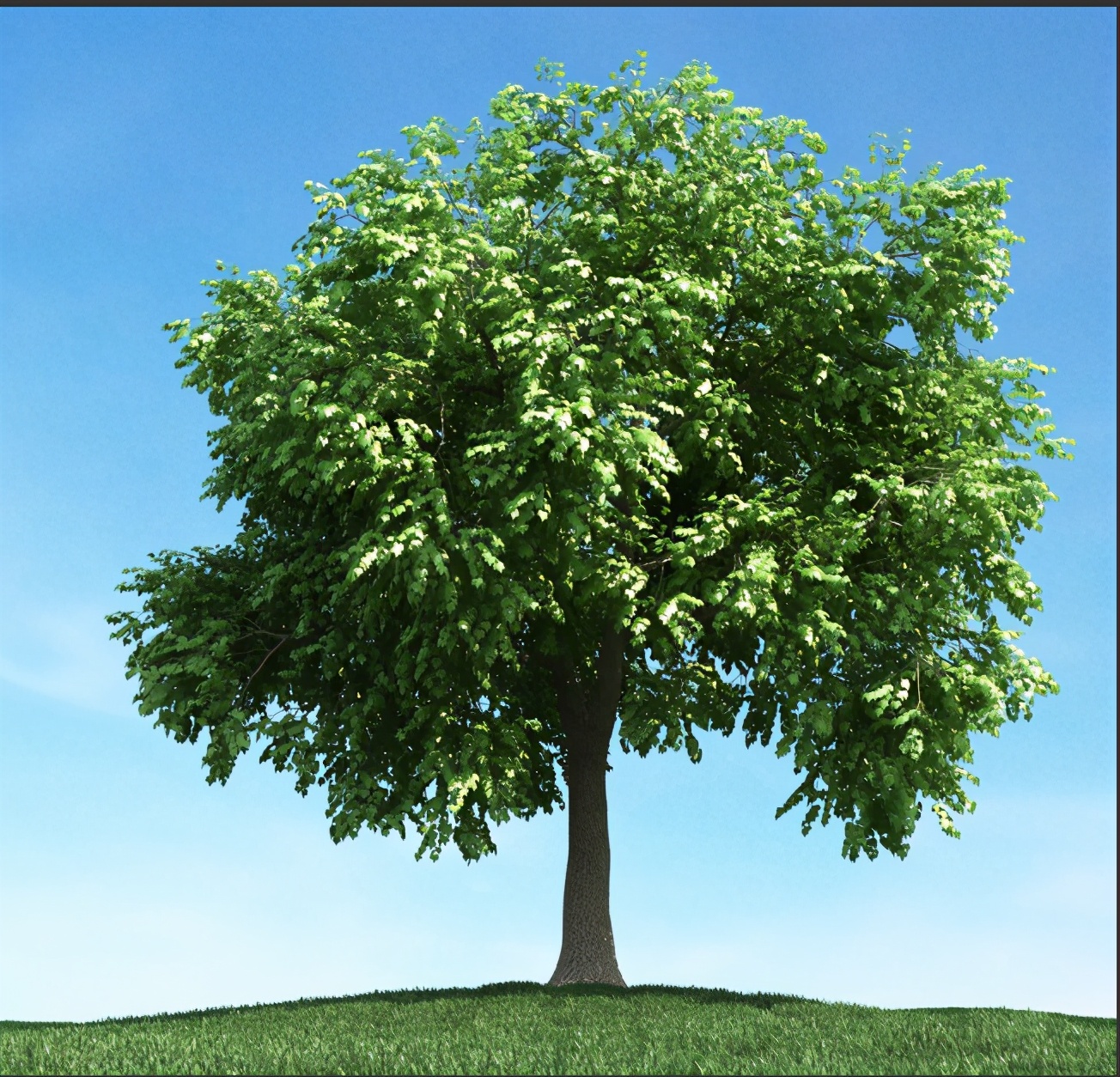 通道头发抠图方法和技巧,ps怎么利用通道抠图章