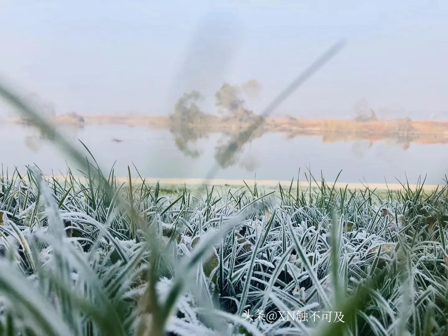 都挺好原生家庭对一个人的影响,都挺好原生家庭对明玉有什么影响