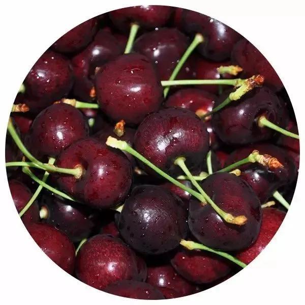 鍗楀矝鏈哄満,鍗楀矝妯辨鑺卞洯