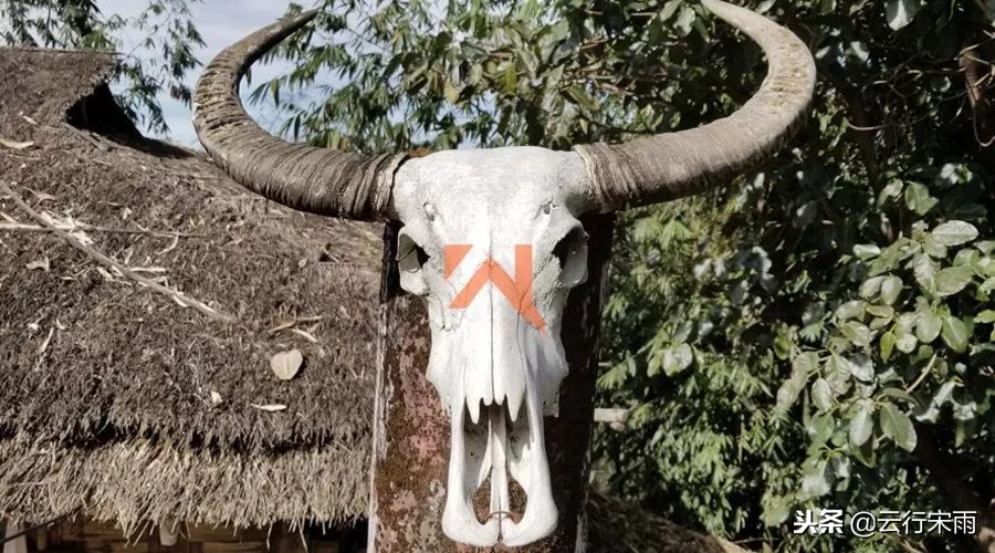 八天七夜云南旅游,八天七夜旅游云南